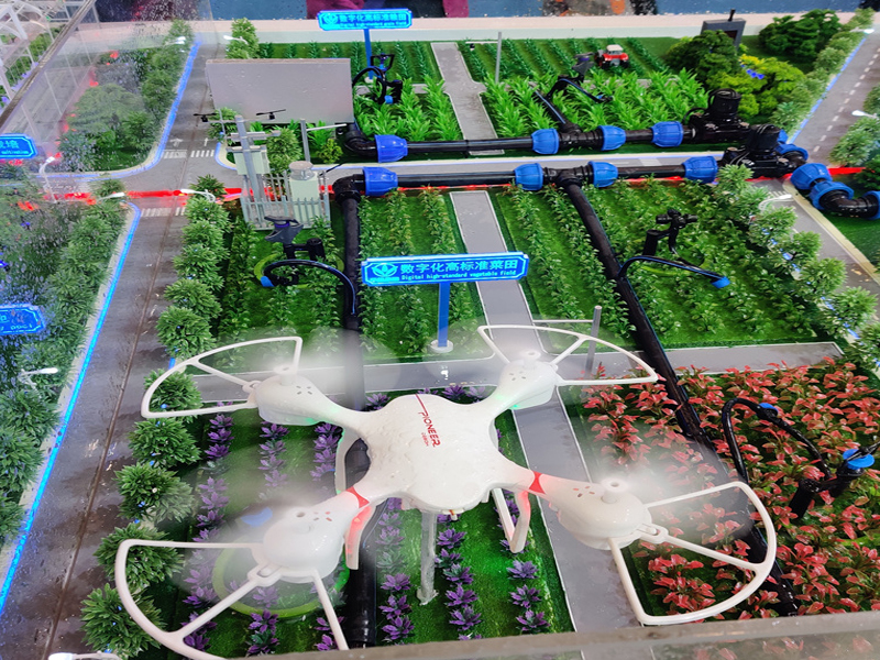 ɳ�Pģ������